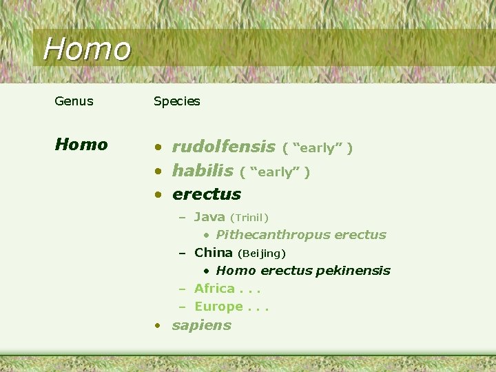 Homo Genus Species Homo • rudolfensis ( “early” ) • habilis ( “early” )