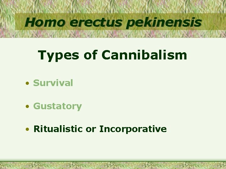 Homo erectus pekinensis Types of Cannibalism • Survival • Gustatory • Ritualistic or Incorporative