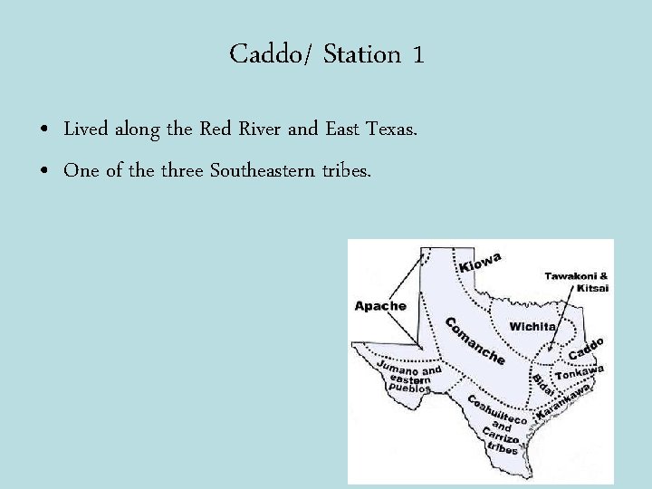 Caddo/ Station 1 • Lived along the Red River and East Texas. • One