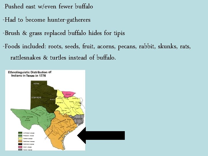 -Pushed east w/even fewer buffalo -Had to become hunter-gatherers -Brush & grass replaced buffalo