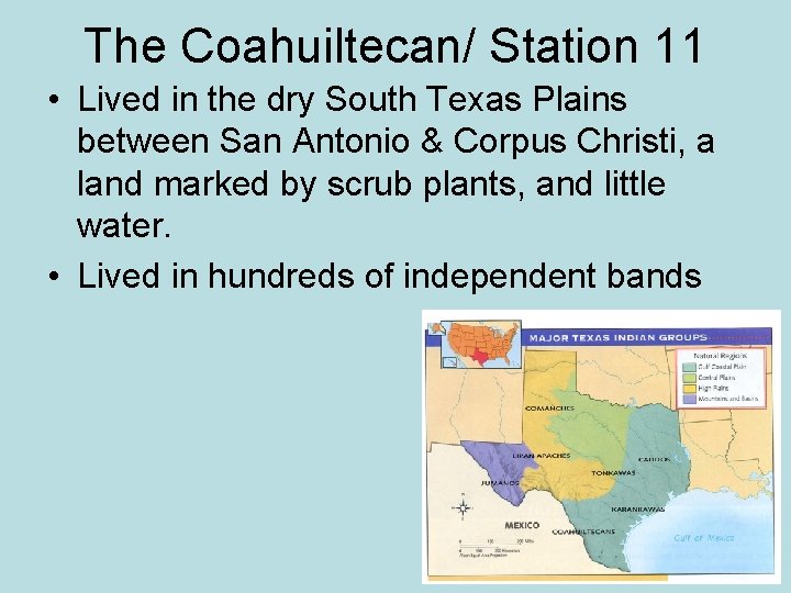 The Coahuiltecan/ Station 11 • Lived in the dry South Texas Plains between San