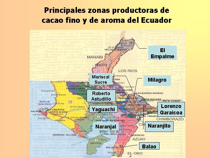 Principales zonas productoras de cacao fino y de aroma del Ecuador El Empalme Mariscal