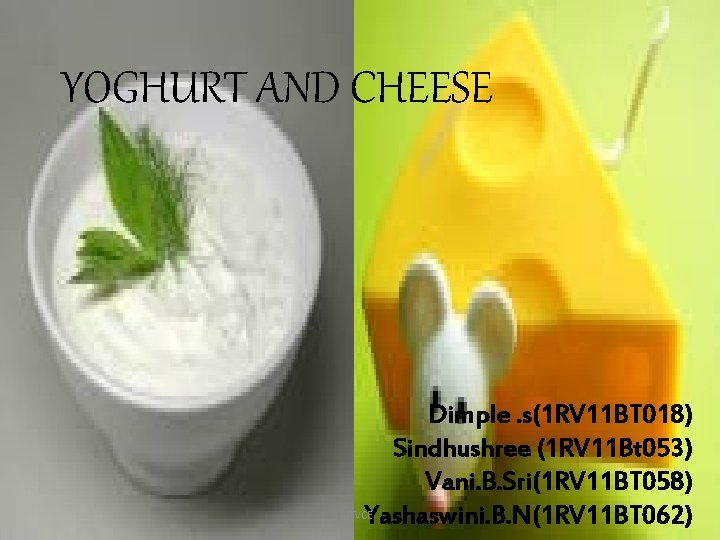 YOGHURT AND CHEESE Dimple. s(1 RV 11 BT 018) Sindhushree (1 RV 11 Bt