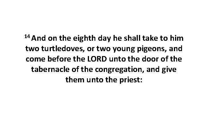 14 And on the eighth day he shall take to him two turtledoves, or