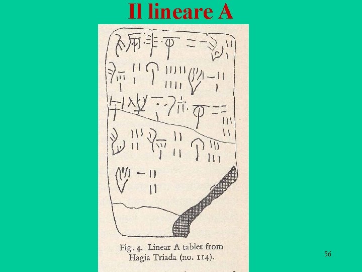 Il lineare A 56 Il lineare A 56