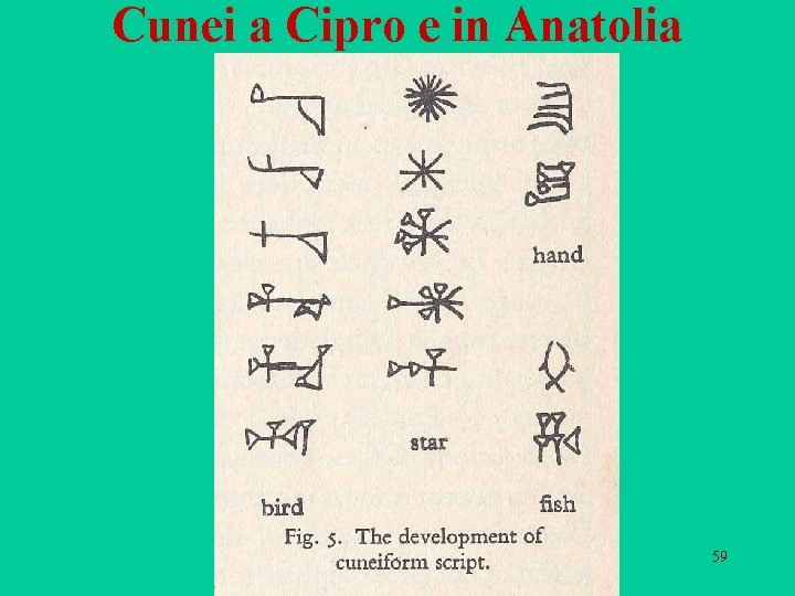 Cunei a Cipro e in Anatolia 59 Cunei a Cipro e in Anatolia 59