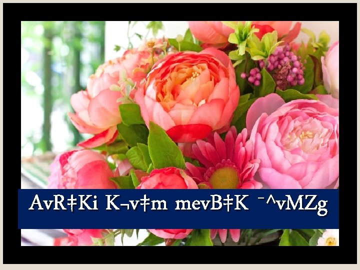 Av. R‡Ki K¬v‡m mev. B‡K ¯^v. MZg 