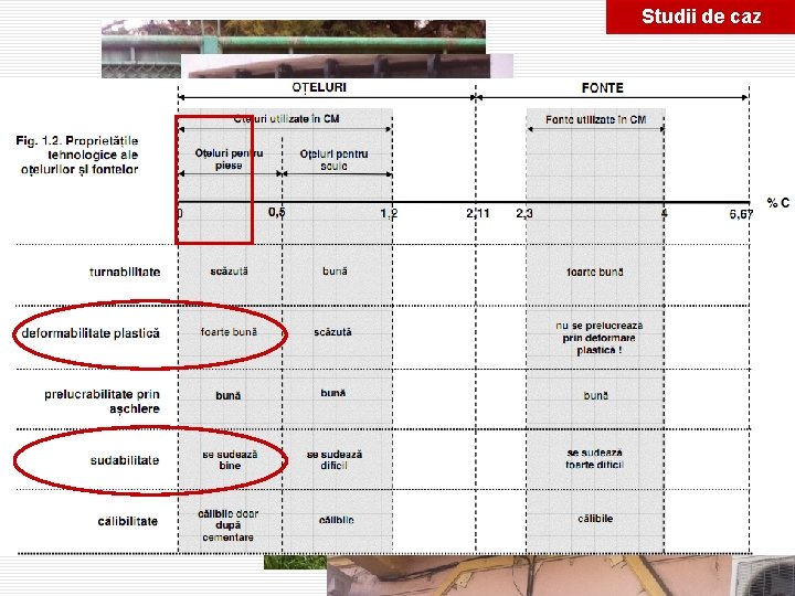 Studii de caz Studii de caz