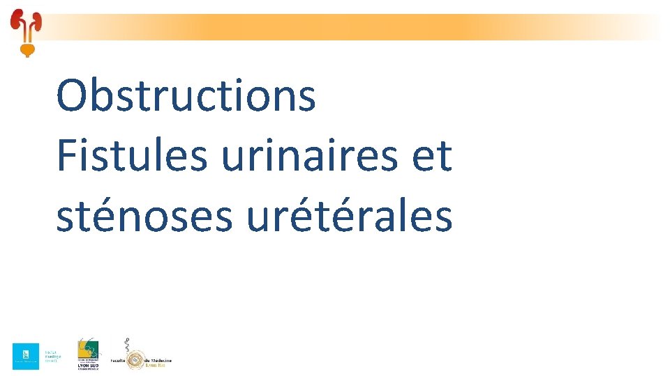 Obstructions Fistules urinaires et sténoses urétérales 