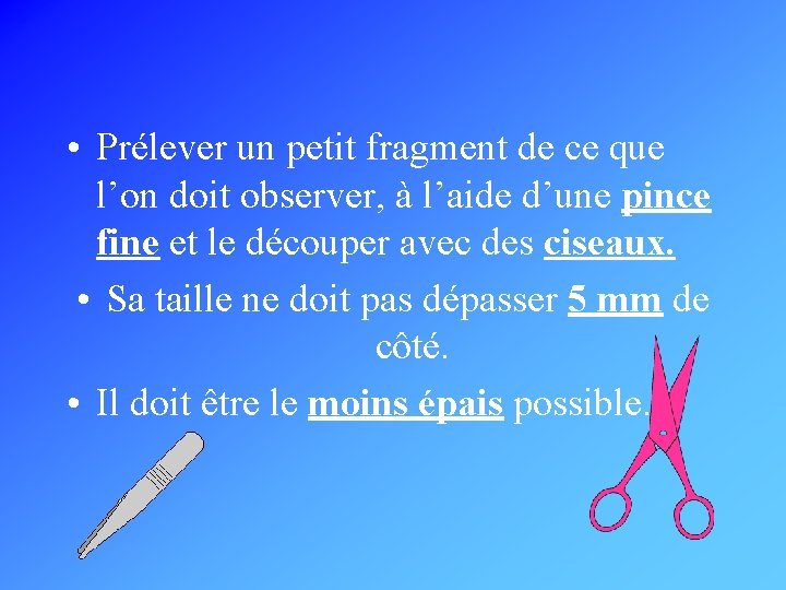  • Prélever un petit fragment de ce que l’on doit observer, à l’aide