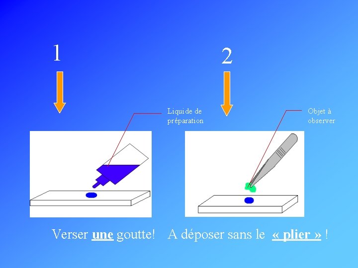 1 2 Liquide de préparation Objet à observer Verser une goutte! A déposer sans