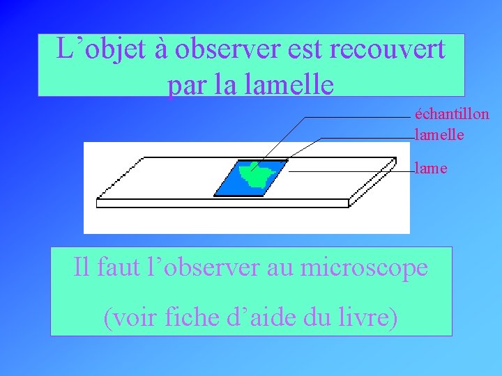 L’objet à observer est recouvert par la lamelle échantillon lamelle lame Il faut l’observer