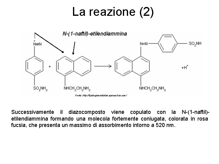 La reazione (2) N-(1 -naftil)-etilendiammina Fonte: http: //tipologieanalisilab. spaces. live. com/ Successivamente il diazocomposto