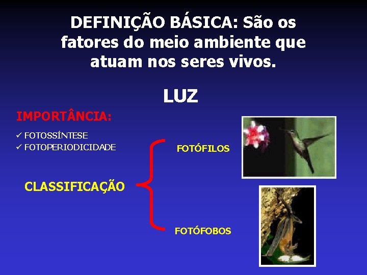 DEFINIÇÃO BÁSICA: São os fatores do meio ambiente que atuam nos seres vivos. LUZ DEFINIÇÃO BÁSICA: São os fatores do meio ambiente que atuam nos seres vivos. LUZ