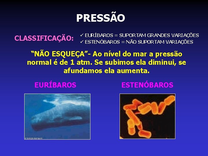 PRESSÃO CLASSIFICAÇÃO: ü EURÍBAROS = SUPORTAM GRANDES VARIAÇÕES ü ESTENÓBAROS = NÃO SUPORTAM VARIAÇÕES PRESSÃO CLASSIFICAÇÃO: ü EURÍBAROS = SUPORTAM GRANDES VARIAÇÕES ü ESTENÓBAROS = NÃO SUPORTAM VARIAÇÕES