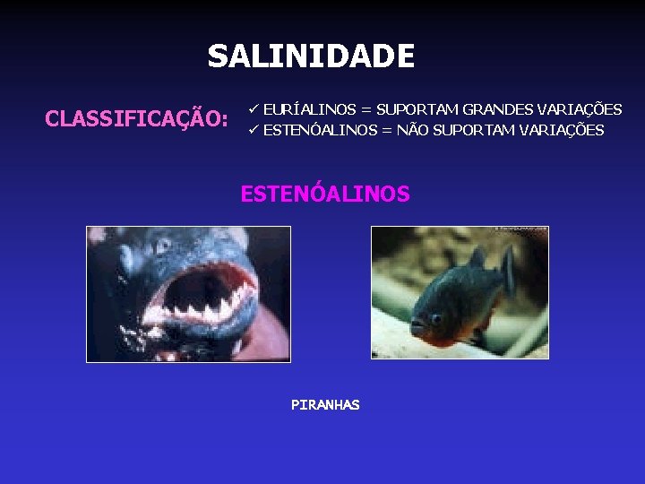 SALINIDADE CLASSIFICAÇÃO: ü EURÍALINOS = SUPORTAM GRANDES VARIAÇÕES ü ESTENÓALINOS = NÃO SUPORTAM VARIAÇÕES SALINIDADE CLASSIFICAÇÃO: ü EURÍALINOS = SUPORTAM GRANDES VARIAÇÕES ü ESTENÓALINOS = NÃO SUPORTAM VARIAÇÕES