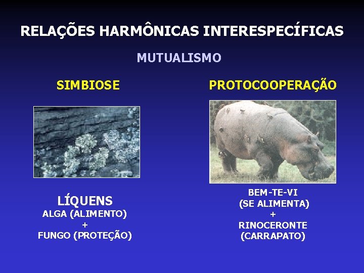 RELAÇÕES HARMÔNICAS INTERESPECÍFICAS MUTUALISMO SIMBIOSE LÍQUENS ALGA (ALIMENTO) + FUNGO (PROTEÇÃO) PROTOCOOPERAÇÃO BEM-TE-VI (SE RELAÇÕES HARMÔNICAS INTERESPECÍFICAS MUTUALISMO SIMBIOSE LÍQUENS ALGA (ALIMENTO) + FUNGO (PROTEÇÃO) PROTOCOOPERAÇÃO BEM-TE-VI (SE