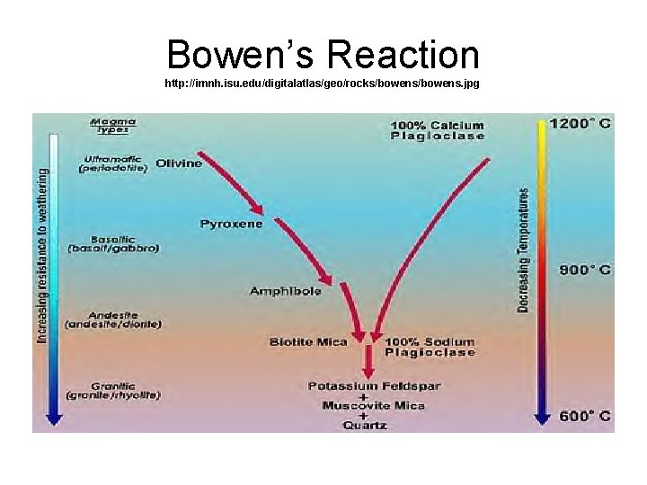 Bowen’s Reaction http: //imnh. isu. edu/digitalatlas/geo/rocks/bowens. jpg 