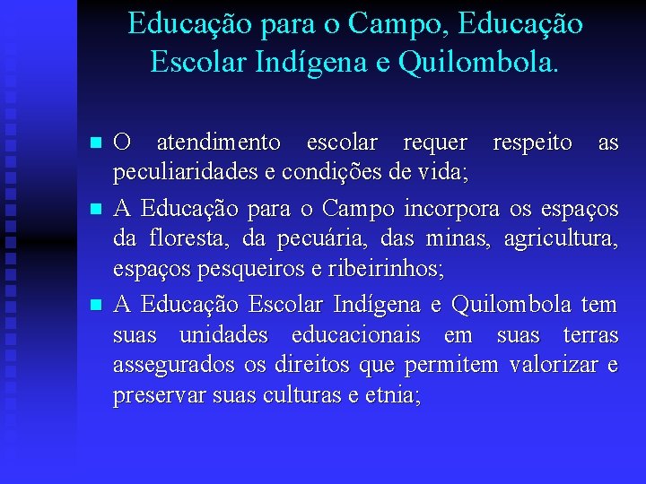 Educação para o Campo, Educação Escolar Indígena e Quilombola. n n n O atendimento