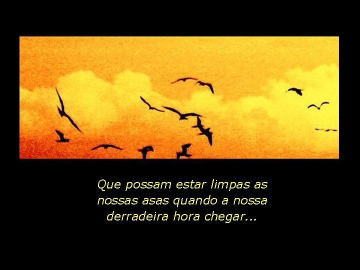 Que possam estar limpas as nossas asas quando a nossa derradeira hora chegar. .