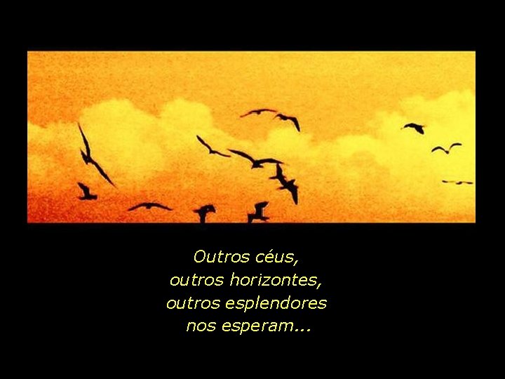 Outros céus, outros horizontes, outros esplendores nos esperam. . . 