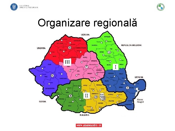 Organizare regională 