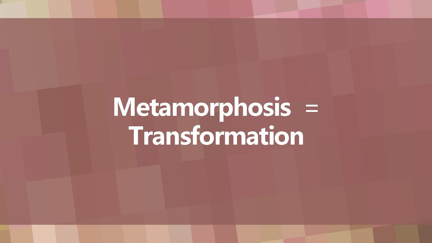 Metamorphosis = Transformation 