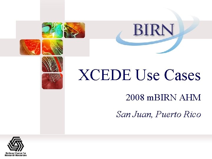 XCEDE Use Cases 2008 m. BIRN AHM San Juan, Puerto Rico 