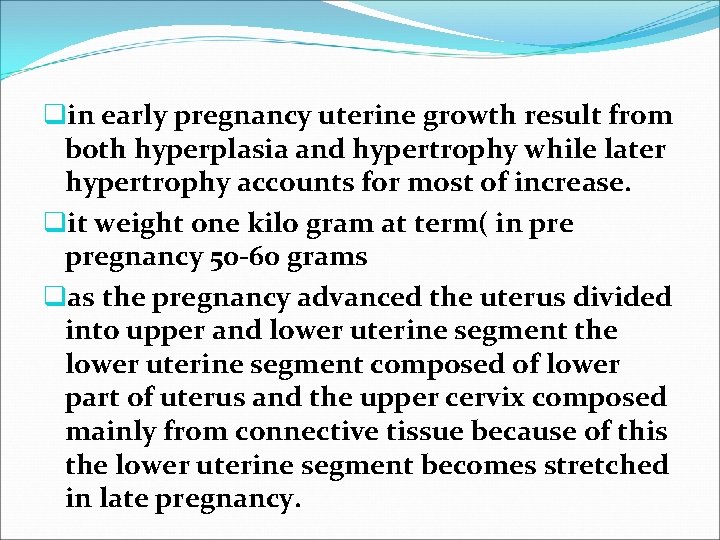 qin early pregnancy uterine growth result from both hyperplasia and hypertrophy while later hypertrophy