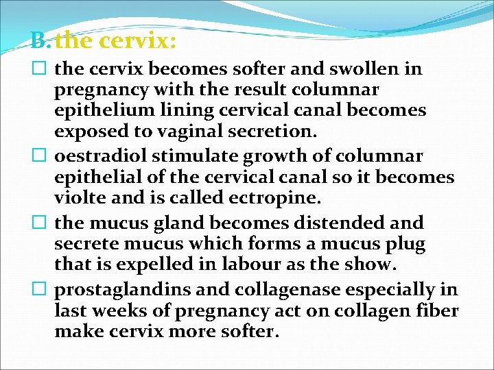 B. the cervix: � the cervix becomes softer and swollen in pregnancy with the