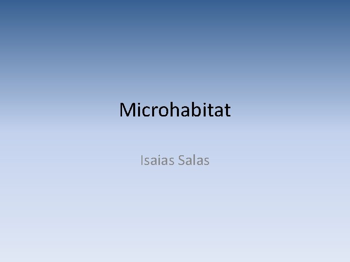 Microhabitat Isaias Salas 