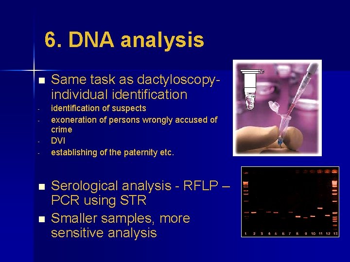 6. DNA analysis n - n n Same task as dactyloscopyindividual identification of suspects