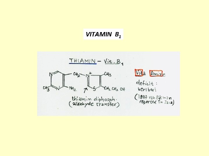 VITAMIN B 1 