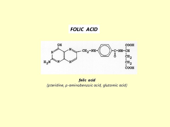 FOLIC ACID folic acid (pteridine, p-aminobenzoic acid, glutamic acid) 
