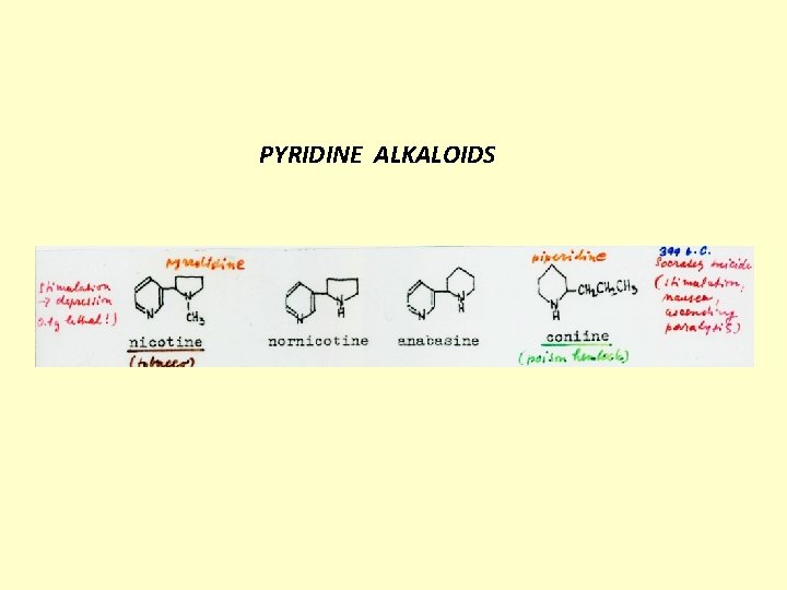 PYRIDINE ALKALOIDS 