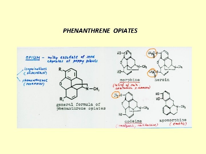 PHENANTHRENE OPIATES 