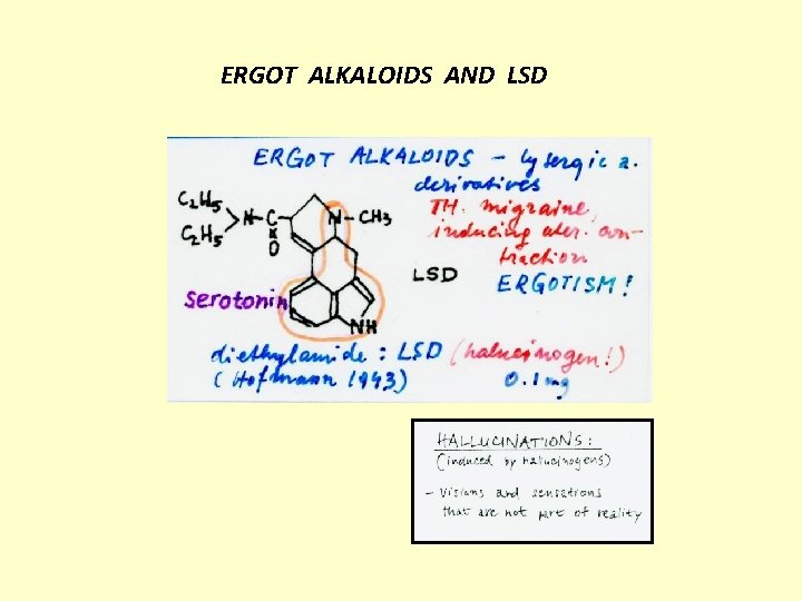 ERGOT ALKALOIDS AND LSD 