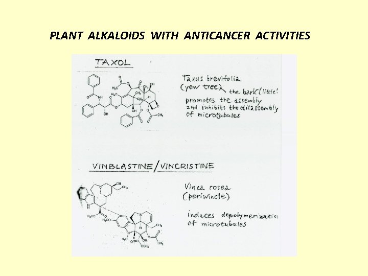 PLANT ALKALOIDS WITH ANTICANCER ACTIVITIES 