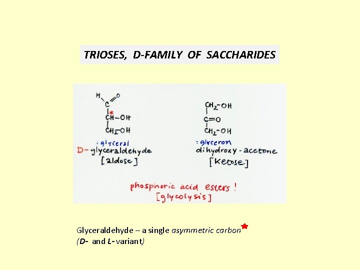 TRIOSES, D-FAMILY OF SACCHARIDES Glyceraldehyde – a single asymmetric carbon (D- and L- variant)