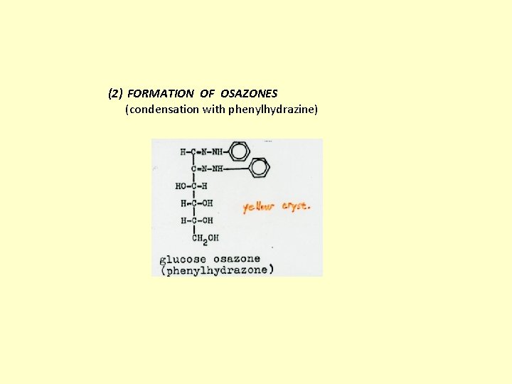 (2) FORMATION OF OSAZONES (condensation with phenylhydrazine) 