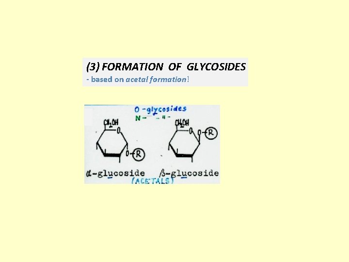 (3) FORMATION OF GLYCOSIDES - based on acetal formation! 