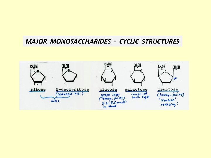 MAJOR MONOSACCHARIDES - CYCLIC STRUCTURES 