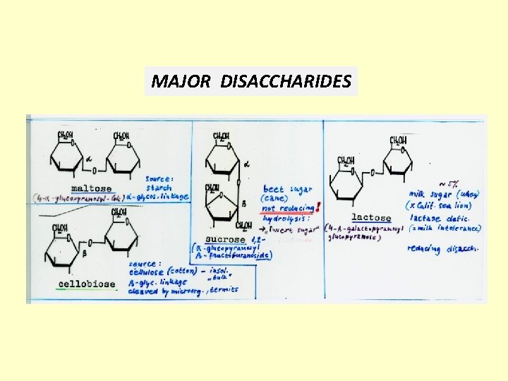 MAJOR DISACCHARIDES 