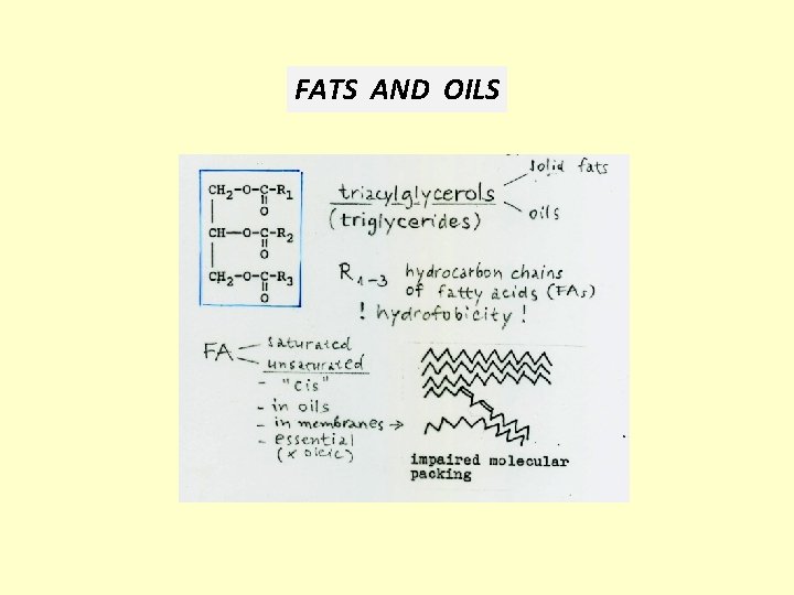 FATS AND OILS 