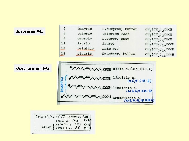 Saturated FAs Unsaturated FAs 