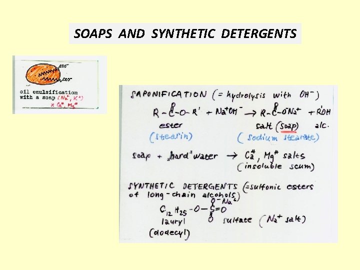 SOAPS AND SYNTHETIC DETERGENTS 
