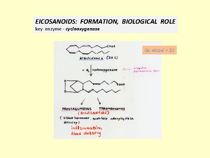 EICOSANOIDS: FORMATION, BIOLOGICAL ROLE key enzyme - cyclooxygenase Gr. eicosi = 20 