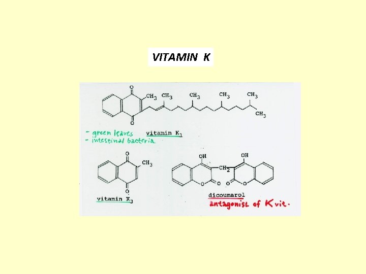 VITAMIN K 