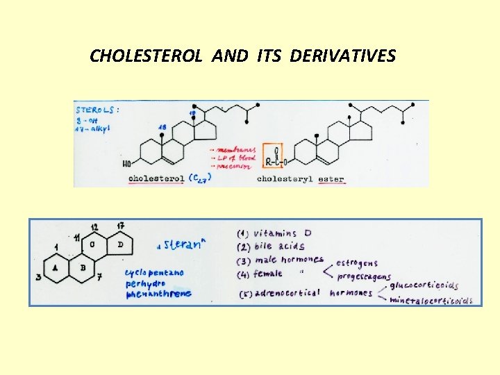 CHOLESTEROL AND ITS DERIVATIVES 