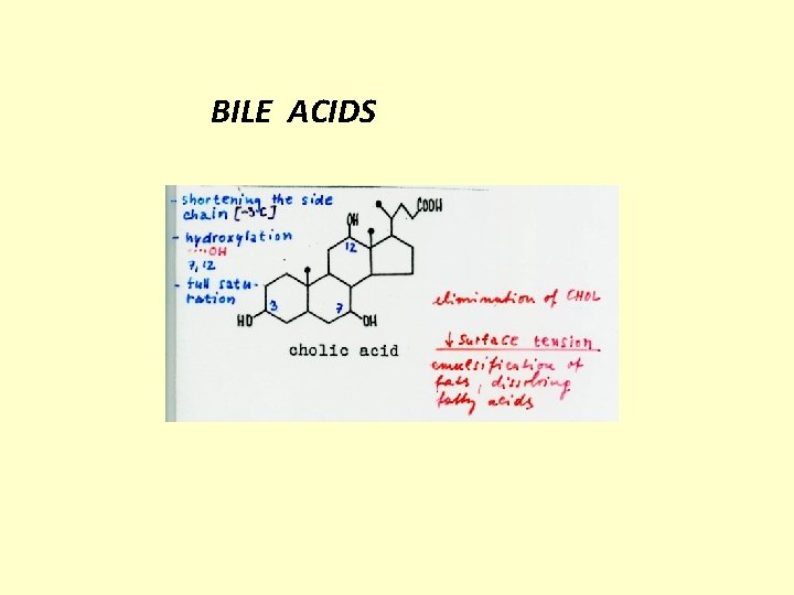 BILE ACIDS 